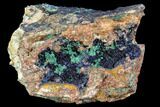 Large Malachite with Azurite Specimen ( Lbs) - Morocco #104071-1